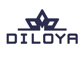 New web of Diloya Group is on line