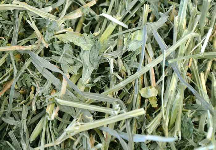 Alfalfa Hay Straw